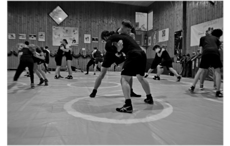FOCUS SUR LES SECTIONS D'ELCO