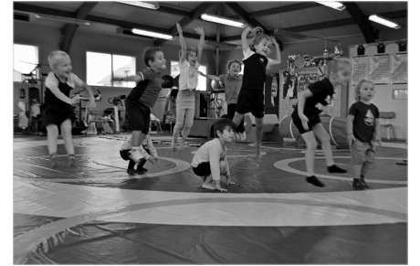 FOCUS SUR LES SECTIONS D'ELCO